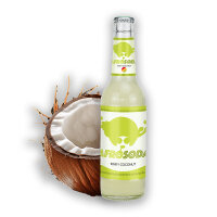 Afrosoda Mix Set 12er oder 24er 24x Flaschen